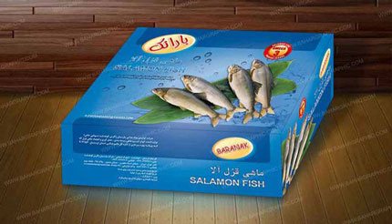 طراحی جعبه و بسته بندی ماهی